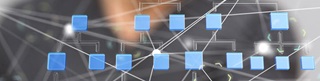 Structure de l'entreprise