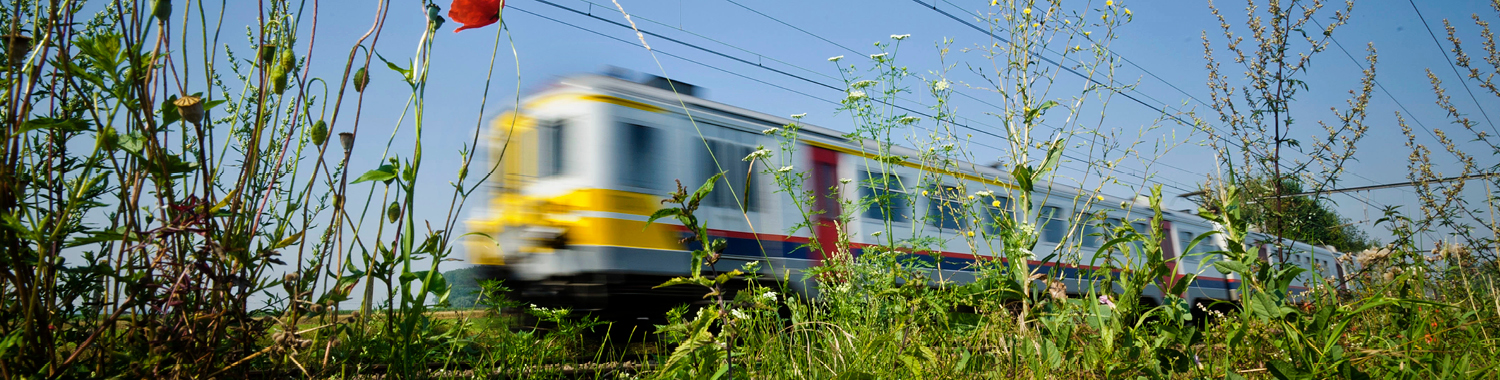 Train de la SNCB roulant à travers la campagne