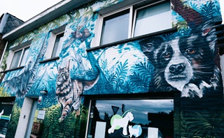 Des animaux dans un graffiti sur la façade du vétérinaire Van de Sijpe