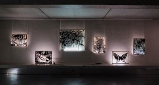 sculptures sur un mur avec un jeu de lumière et d'ombres