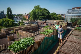 Twee dakboeren in tuin op dak van PAKT in Berchem