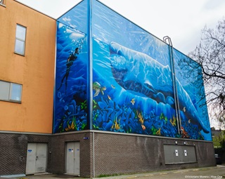 Muurschildering met walvis en diepzeeduiker in Berchem