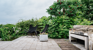 Une terrasse accueillante entourée de verdure