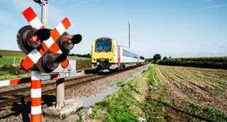Train dans les champs arrivant à un passage ferroviaire