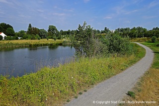 Wandelweg rond vijver in Natuurpark Overmeers.
