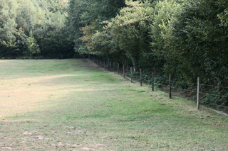 Sentier de promenade dans le bois