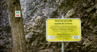 Panneau informatif : Réserve naturelle de Furfooz