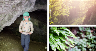 Des fougères poussent près de la grotte de la réserve naturelle