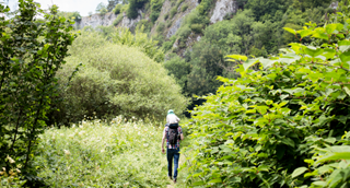 Un père se promène avec son fils sur ses épaules en pleine nature.