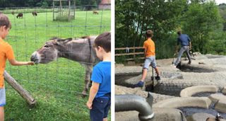 Gauche : deux garçons nourrissent un âne. Droite : plaisirs aquatiques au Domaine Provincial de Kessel-Lo. 