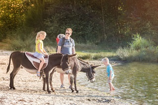 Par une belle journée, une fillette à dos d'âne regarde son frère jouer dans le lac. Le papa se tient a coté du deuxième âne.