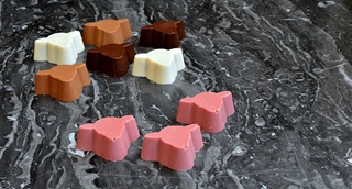 Des pralines multicolores.