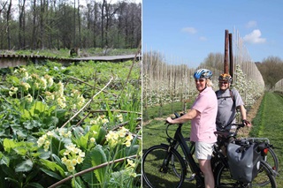 Gauche : une passerelle en bois avec des primevères jaunes. Droite : 2 cyclistes entre des arbres en fleurs.