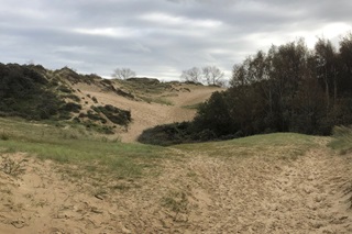 duinen in de Westhoek