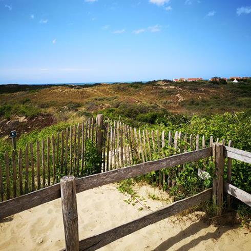 Entrée des dunes verdoyantes