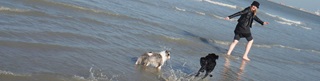 Une dame avec chapeau court pieds nus dans l'eau avec deux chiens.