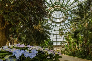 Les Serres Royales de Laeken