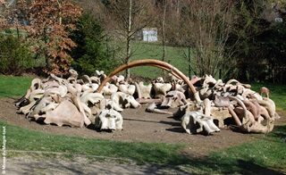 Cercle constitué de crânes de mammouth