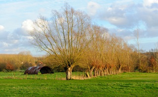 Paysage des Ardennes flamandes
