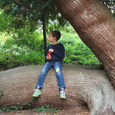 child sitting on a tree trunk